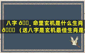 八字 🕸 命里玄机是什么生肖 🕊 （送八字是玄机最佳生肖是什么）